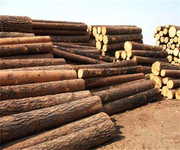 木家具材质检测 木材材质鉴定如何收费